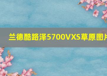 兰德酷路泽5700VXS草原图片