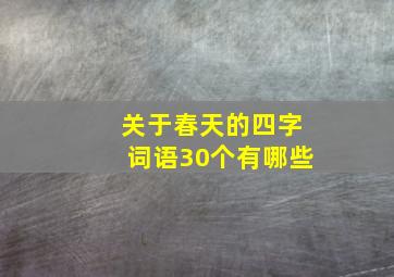 关于春天的四字词语30个有哪些