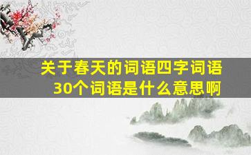 关于春天的词语四字词语30个词语是什么意思啊