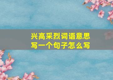 兴高采烈词语意思写一个句子怎么写