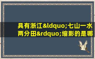 具有浙江“七山一水两分田”缩影的是哪个市