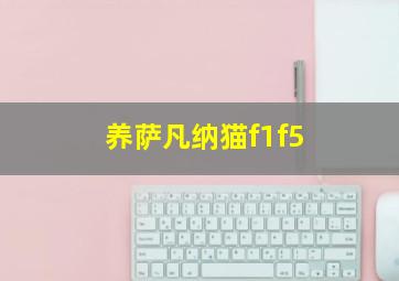 养萨凡纳猫f1f5