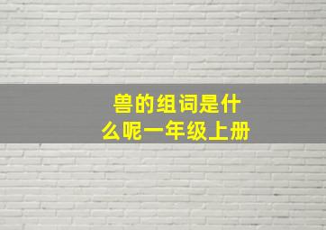 兽的组词是什么呢一年级上册