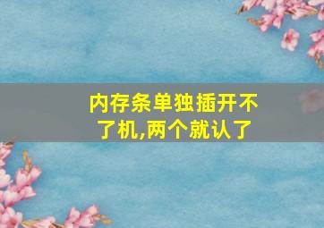 内存条单独插开不了机,两个就认了