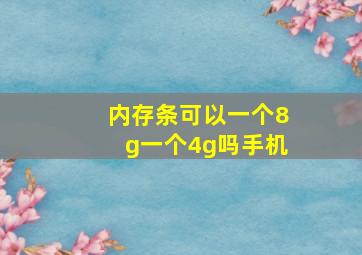 内存条可以一个8g一个4g吗手机