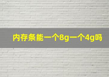 内存条能一个8g一个4g吗