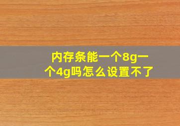 内存条能一个8g一个4g吗怎么设置不了