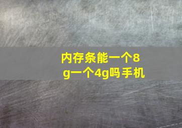 内存条能一个8g一个4g吗手机