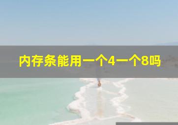 内存条能用一个4一个8吗