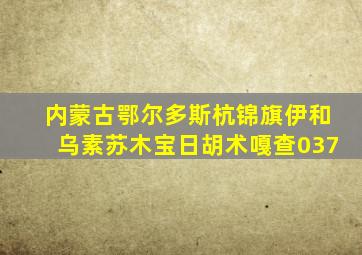 内蒙古鄂尔多斯杭锦旗伊和乌素苏木宝日胡术嘎查037