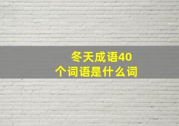 冬天成语40个词语是什么词