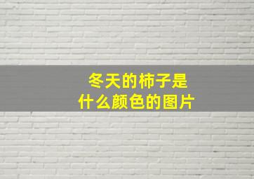 冬天的柿子是什么颜色的图片