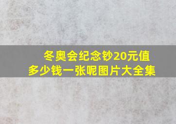 冬奥会纪念钞20元值多少钱一张呢图片大全集