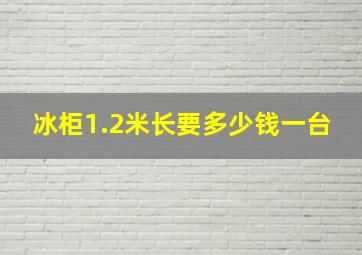 冰柜1.2米长要多少钱一台