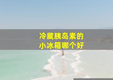 冷藏胰岛素的小冰箱哪个好