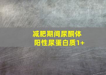 减肥期间尿酮体阳性尿蛋白质1+