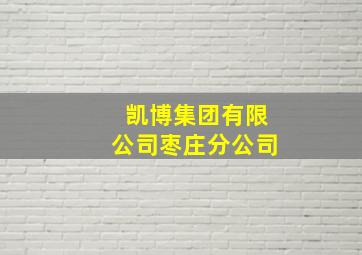 凯博集团有限公司枣庄分公司