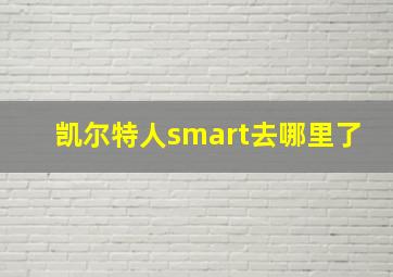 凯尔特人smart去哪里了