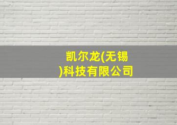 凯尔龙(无锡)科技有限公司