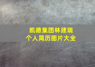 凯德集团林建瑞个人简历图片大全