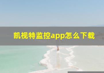 凯视特监控app怎么下载