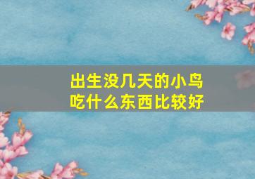 出生没几天的小鸟吃什么东西比较好