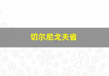 切尔尼戈夫省