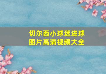 切尔西小球迷进球图片高清视频大全