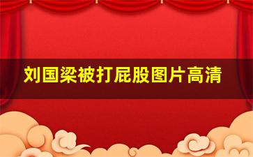 刘国梁被打屁股图片高清