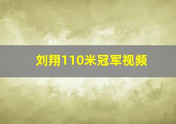 刘翔110米冠军视频