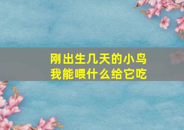 刚出生几天的小鸟我能喂什么给它吃