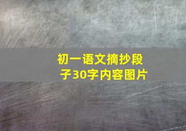 初一语文摘抄段子30字内容图片