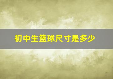 初中生篮球尺寸是多少