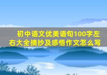 初中语文优美语句100字左右大全摘抄及感悟作文怎么写