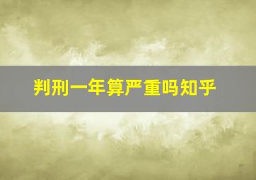 判刑一年算严重吗知乎