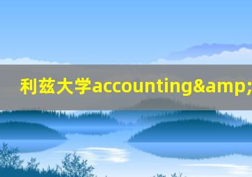 利兹大学accounting&finance