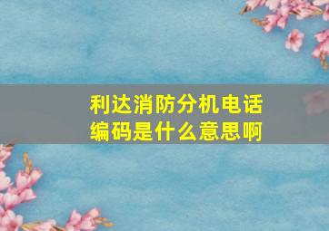 利达消防分机电话编码是什么意思啊