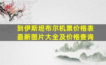 到伊斯坦布尔机票价格表最新图片大全及价格查询