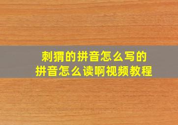 刺猬的拼音怎么写的拼音怎么读啊视频教程