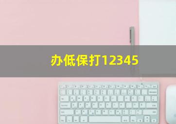 办低保打12345