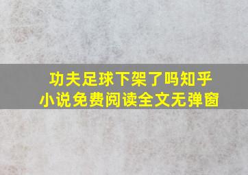 功夫足球下架了吗知乎小说免费阅读全文无弹窗