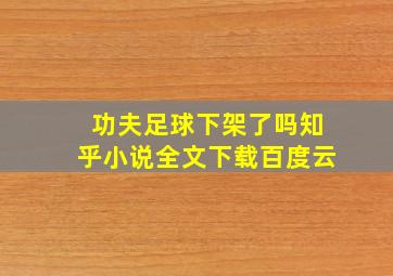 功夫足球下架了吗知乎小说全文下载百度云