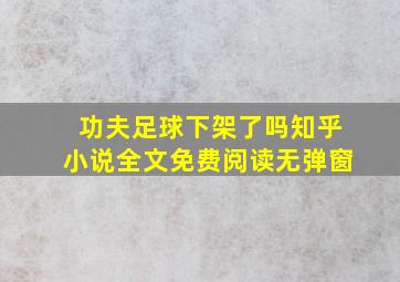 功夫足球下架了吗知乎小说全文免费阅读无弹窗