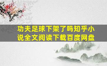 功夫足球下架了吗知乎小说全文阅读下载百度网盘