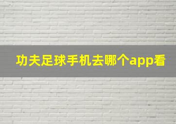 功夫足球手机去哪个app看