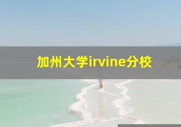 加州大学irvine分校