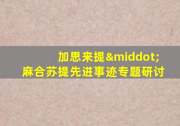 加思来提·麻合苏提先进事迹专题研讨