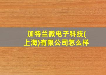 加特兰微电子科技(上海)有限公司怎么样