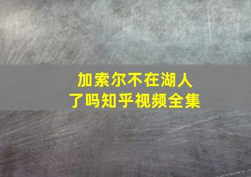 加索尔不在湖人了吗知乎视频全集