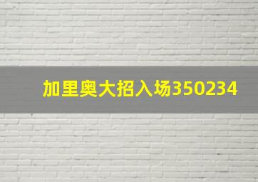 加里奥大招入场350234